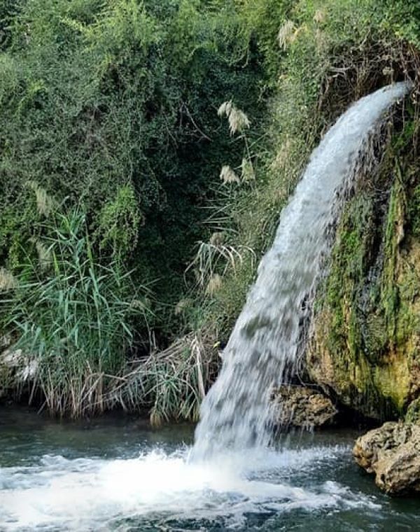 תמונה של הפתעה באמצע הכנרת: המפל הנסתר בעין איוב - למטייל בישראל (טיולי)